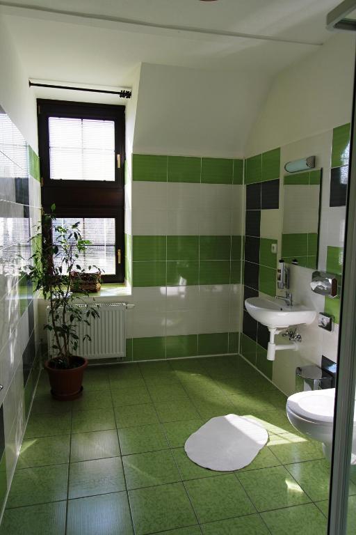 Pension U Svateho Jana Hradec Králové Chambre photo