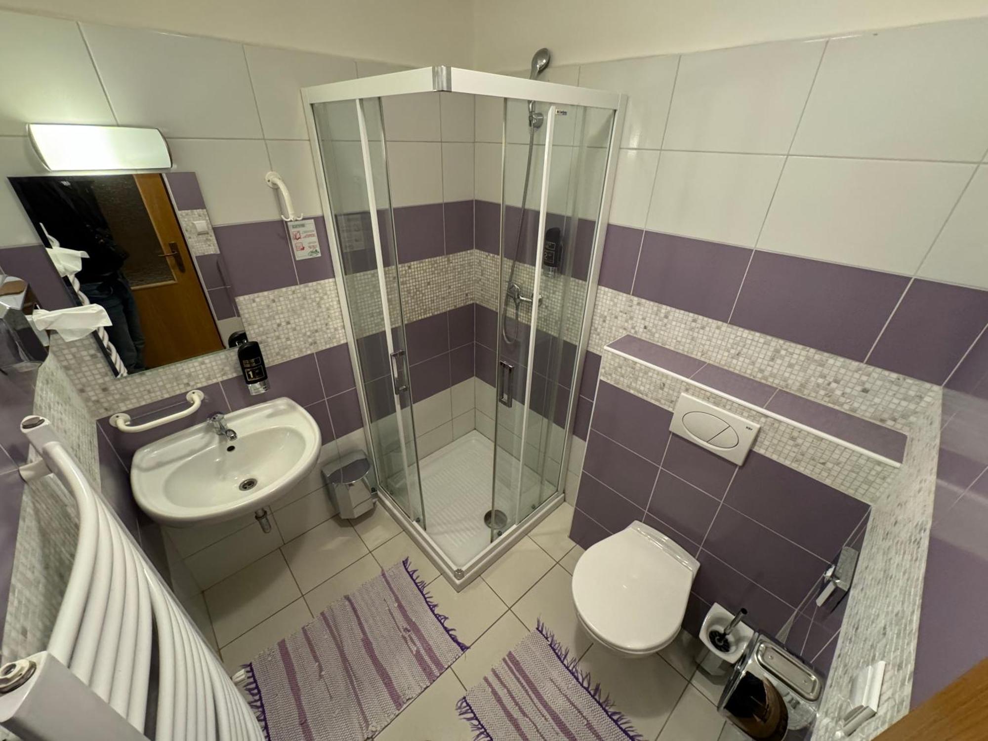 Pension U Svateho Jana Hradec Králové Extérieur photo
